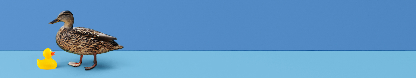 1801418006-site-headers_contact_blauw_1380x260_gespiegeld.jpg